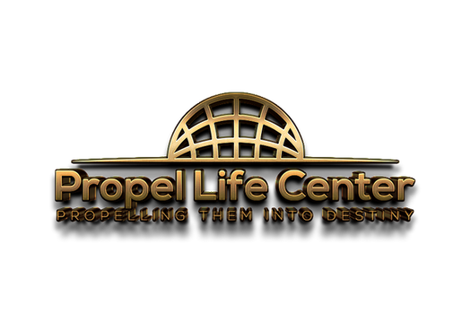 Propel Behavioral Health & Recovery Institute